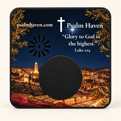 The Christmas Story Audio Magnet